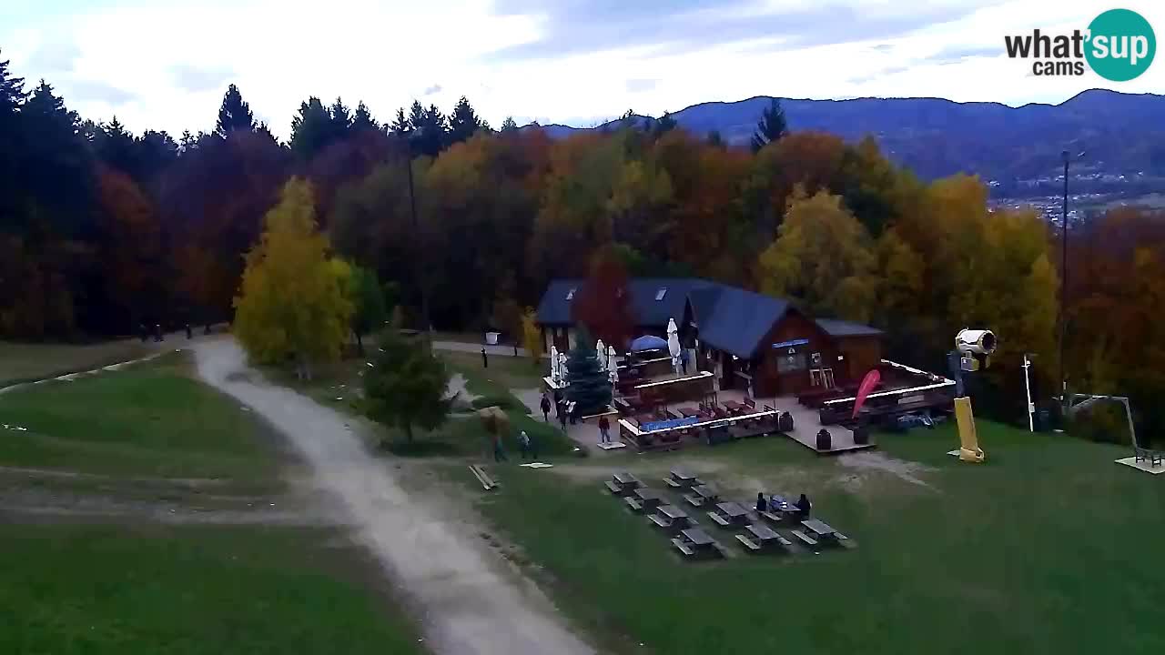 Spletna Kamera Pohorje Trikotna Jasa | Poštela