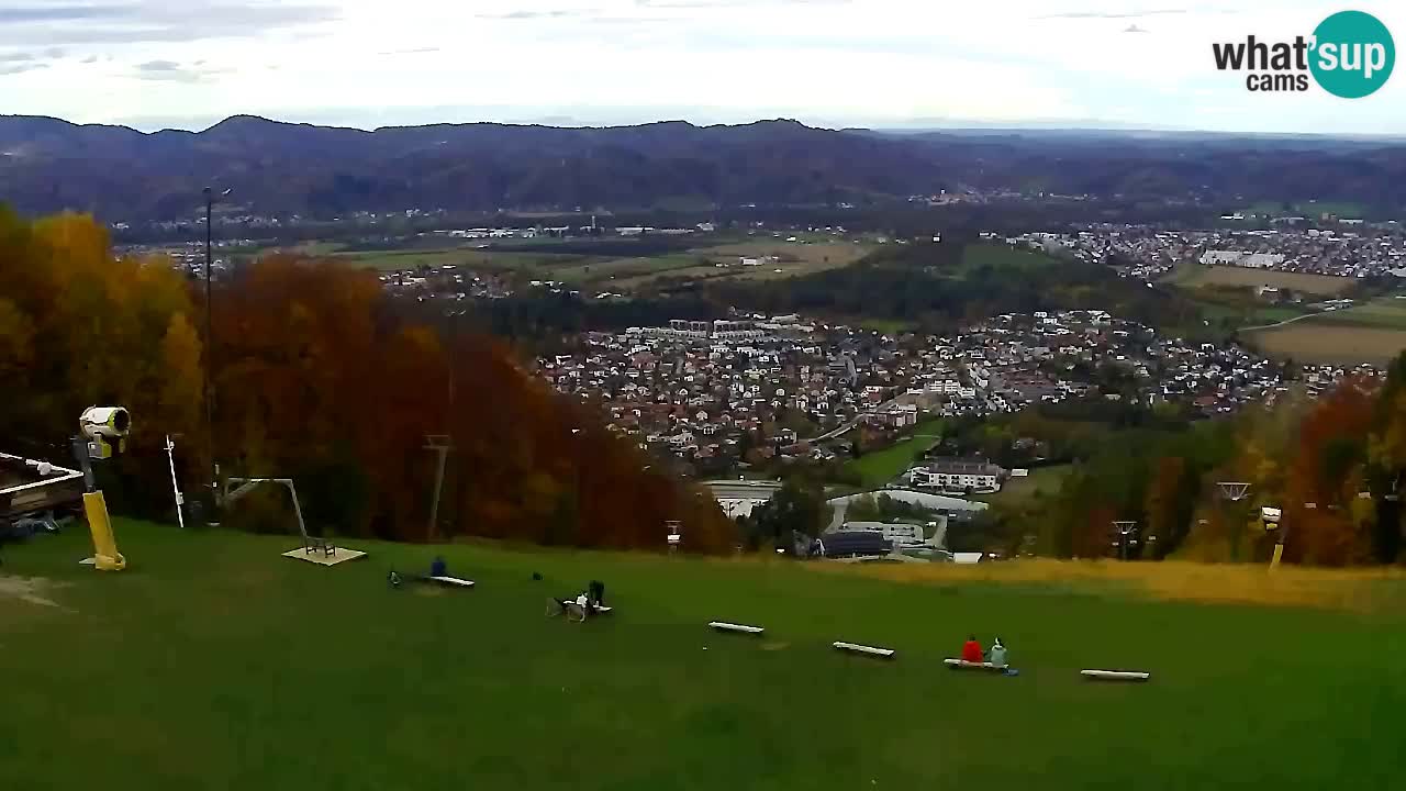 Webcam Pohorje Trikotna Jasa | Poštela