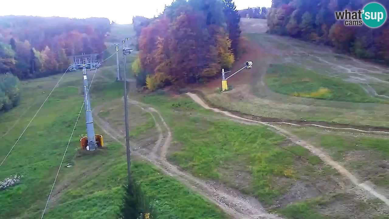 Webcam Pohorje Trikotna Jasa | Poštela