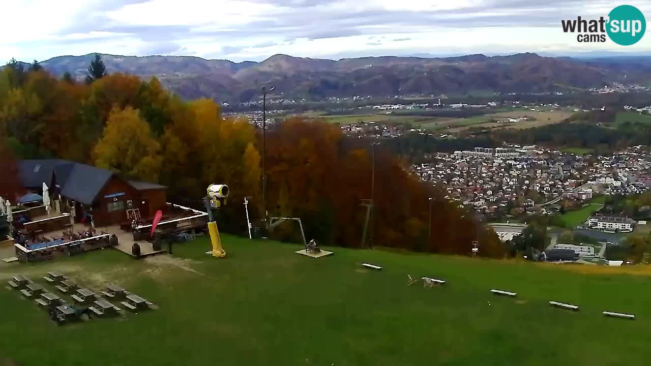 Webcam Pohorje Trikotna Jasa | Poštela