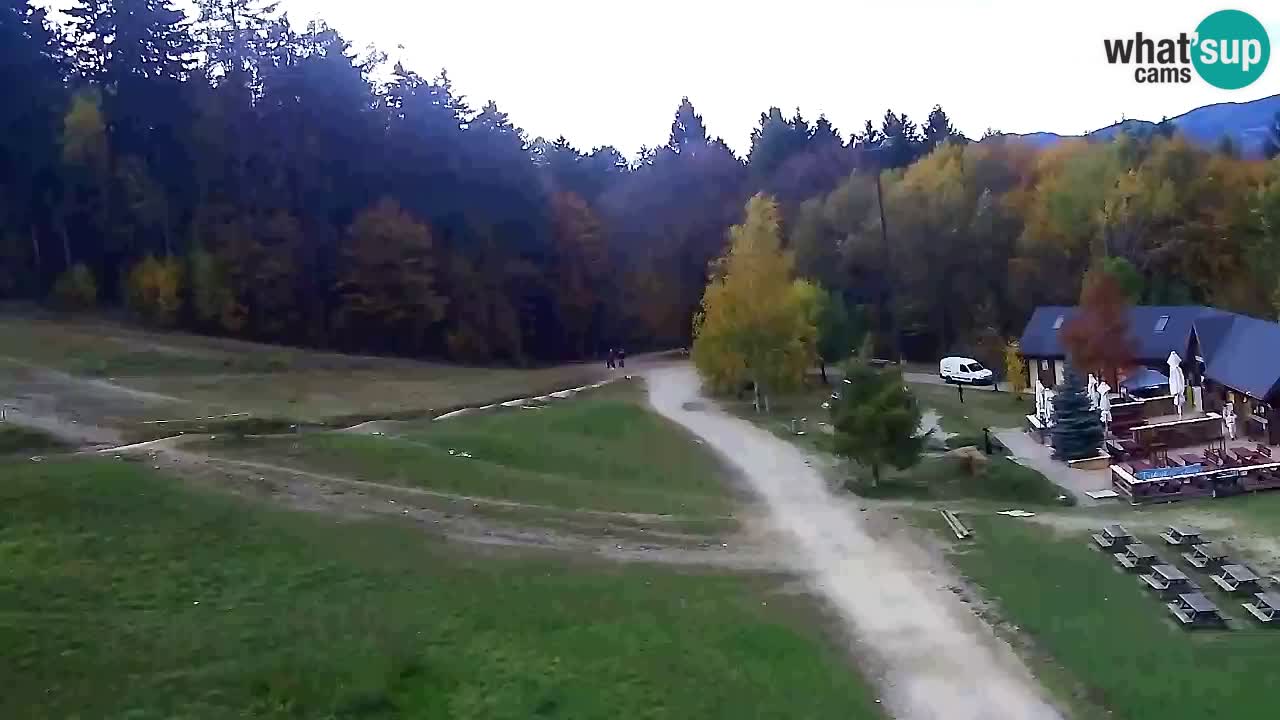 Webcam Pohorje Trikotna Jasa | Poštela