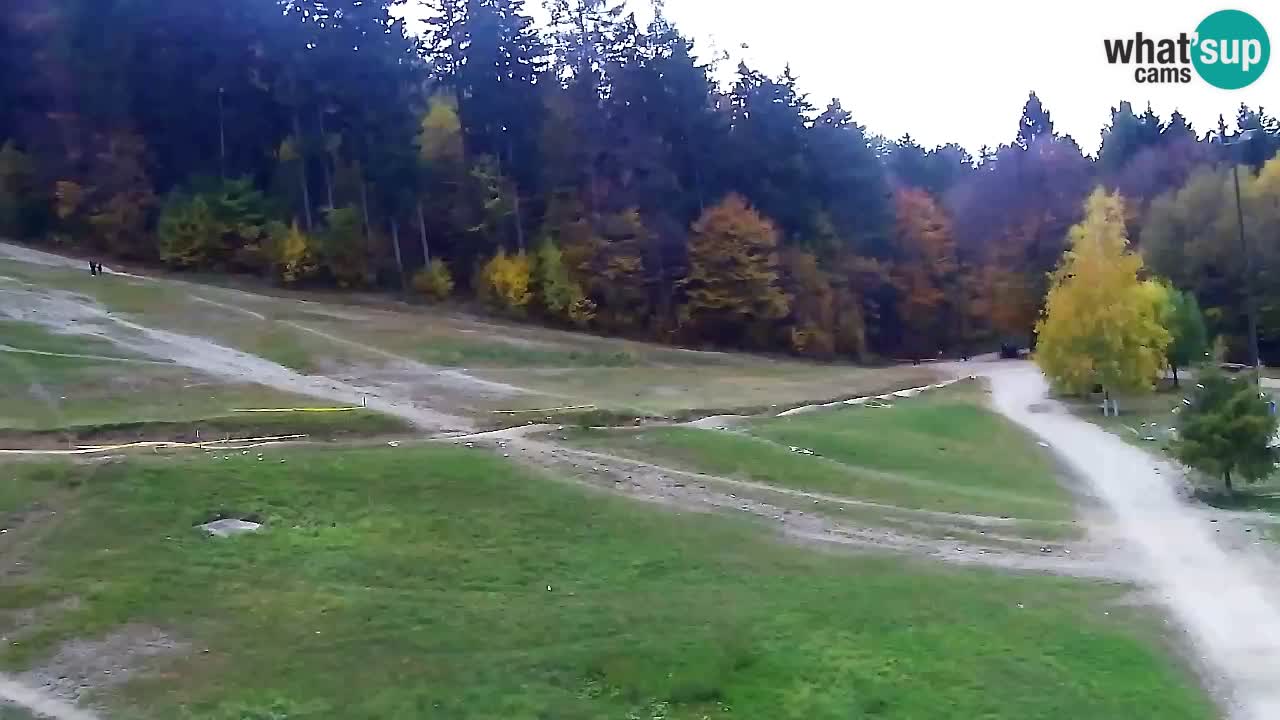 Webcam Pohorje Trikotna Jasa | Poštela