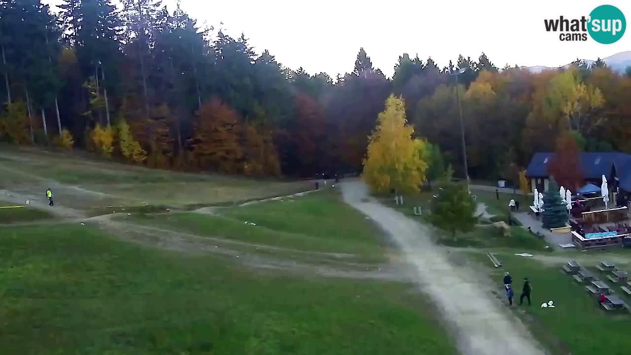 Webcam Pohorje Trikotna Jasa | Poštela