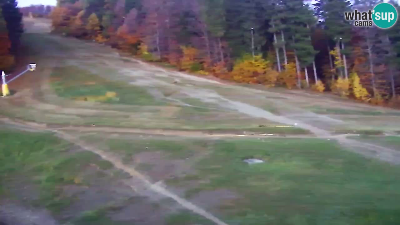 Webcam Pohorje Trikotna Jasa | Poštela