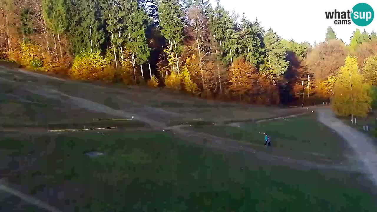 Webcam Pohorje Trikotna Jasa | Poštela