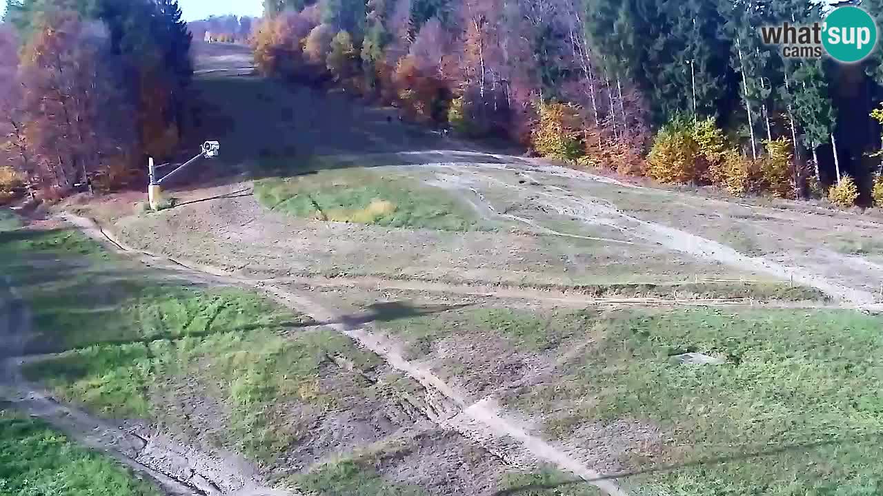 Webcam Pohorje Trikotna Jasa | Poštela