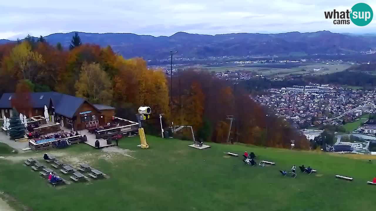 Webcam Pohorje Trikotna Jasa | Poštela