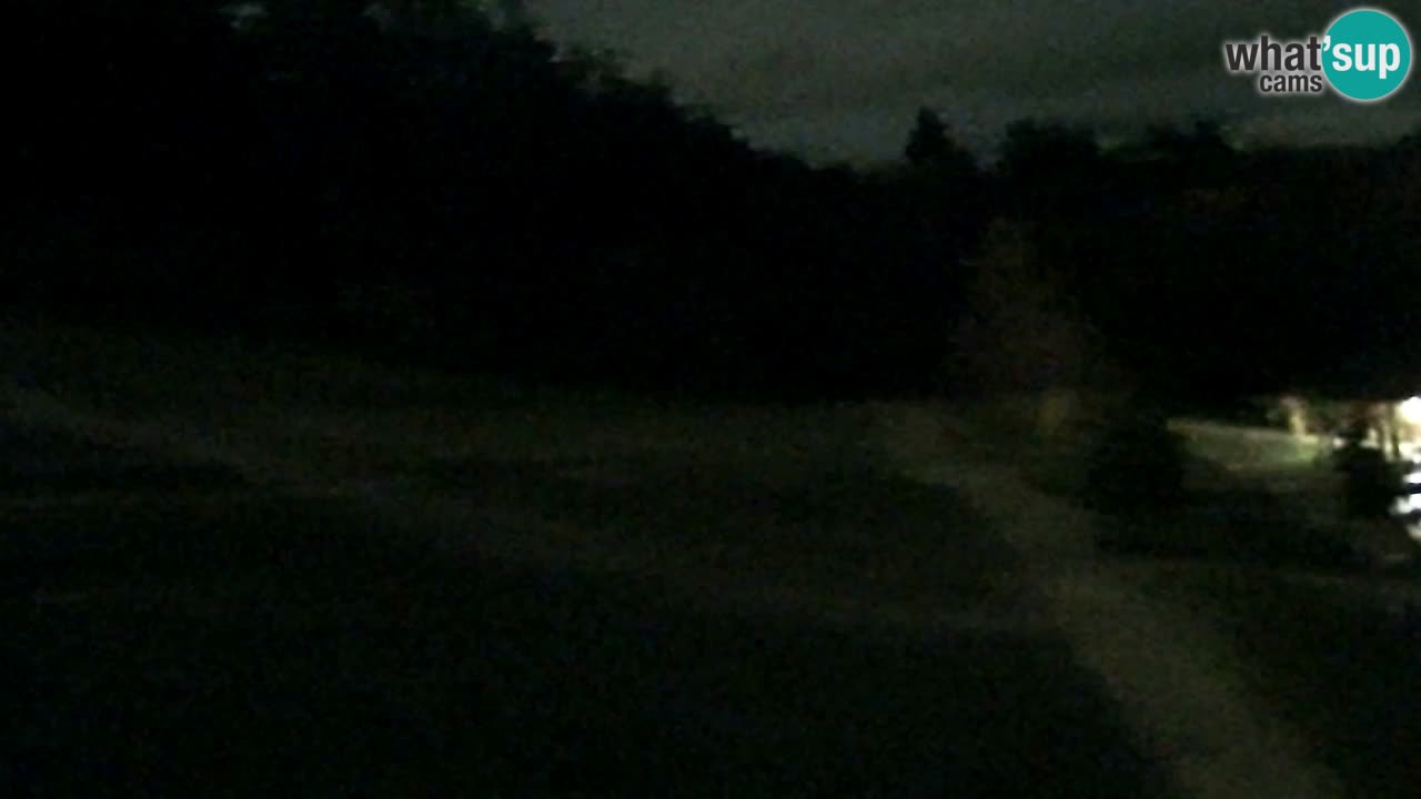 Webcam Pohorje Trikotna Jasa | Poštela