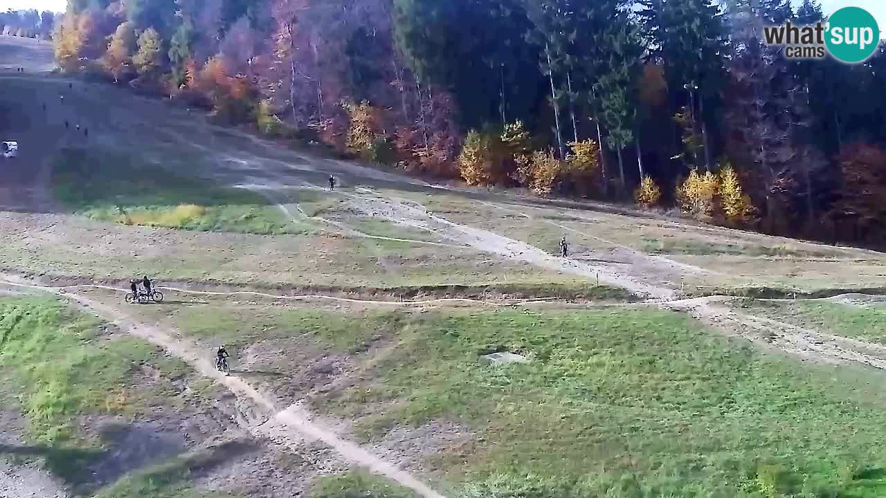 Webcam Pohorje Trikotna Jasa | Poštela