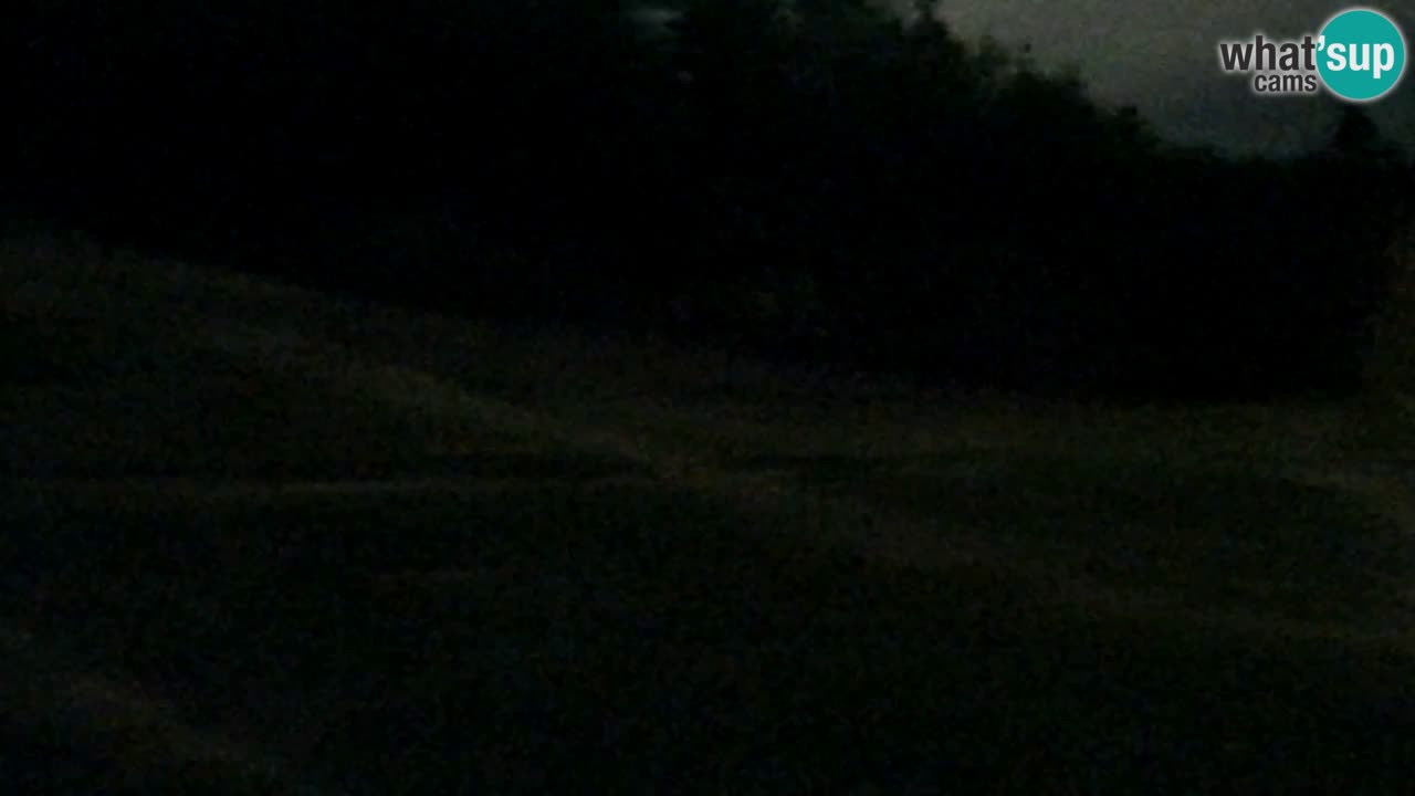 Web Camera Pohorje Trikotna Jasa | Poštela