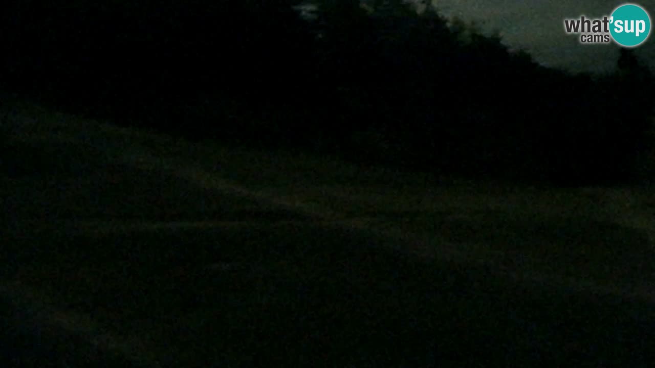 Webcam Pohorje Trikotna Jasa | Poštela