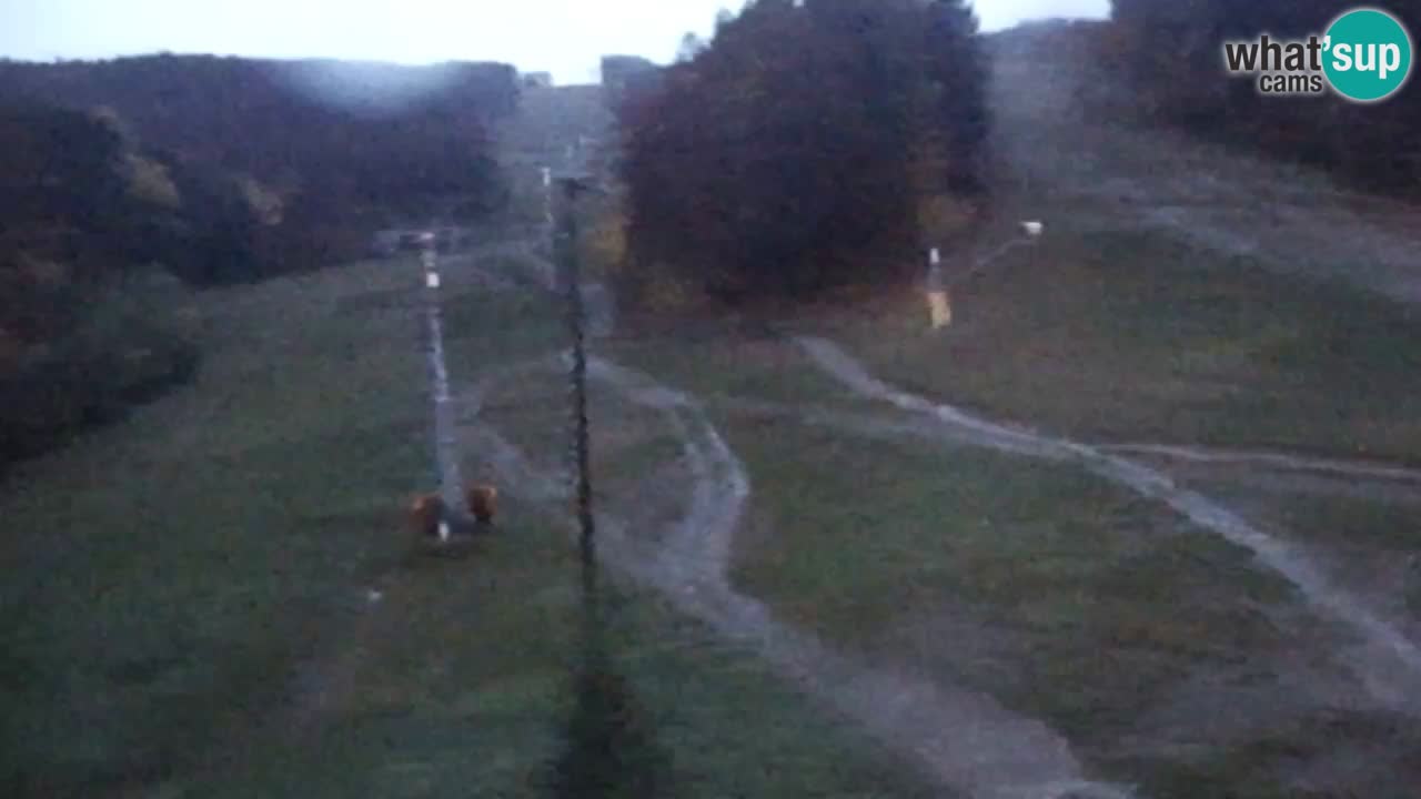 Webcam Pohorje Trikotna Jasa | Poštela