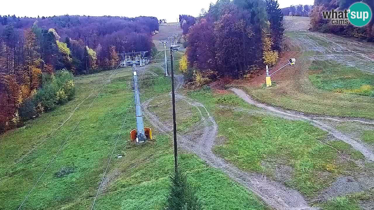 Web Camera Pohorje Trikotna Jasa | Poštela