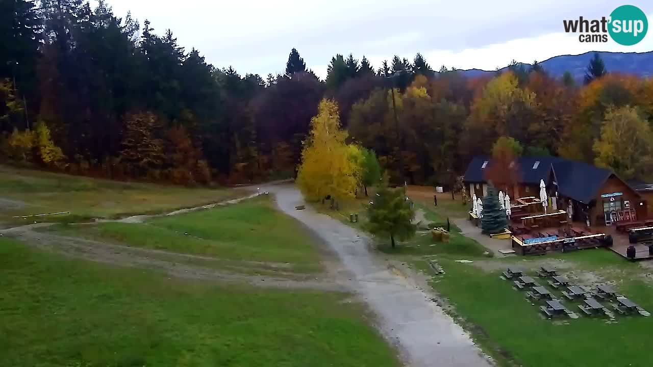 Webcam Pohorje Trikotna Jasa | Poštela