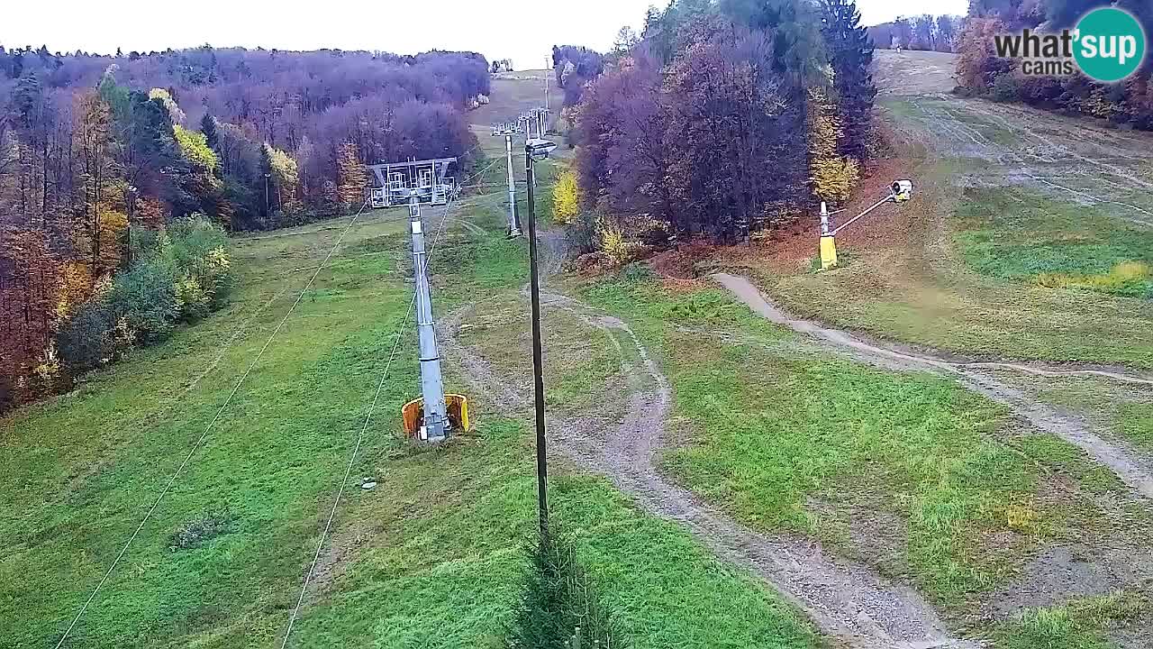 Webcam Pohorje Trikotna Jasa | Poštela