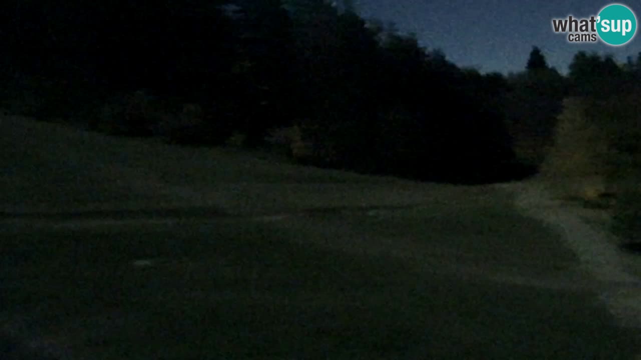 Webcam Pohorje Trikotna Jasa | Poštela