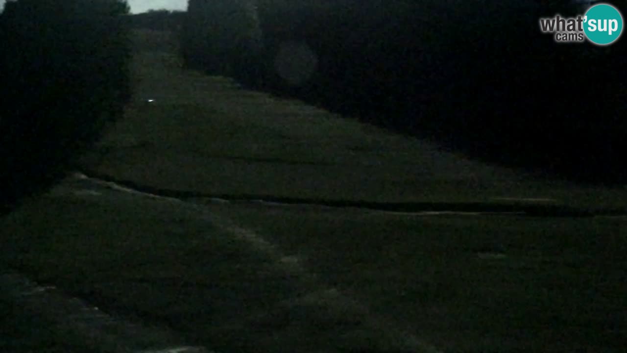 Webcam Pohorje Trikotna Jasa | Poštela