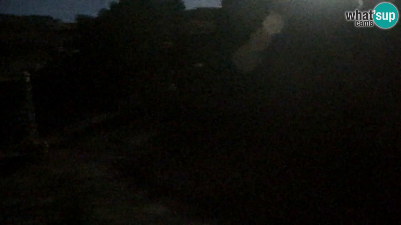 Webcam Pohorje Trikotna Jasa | Poštela