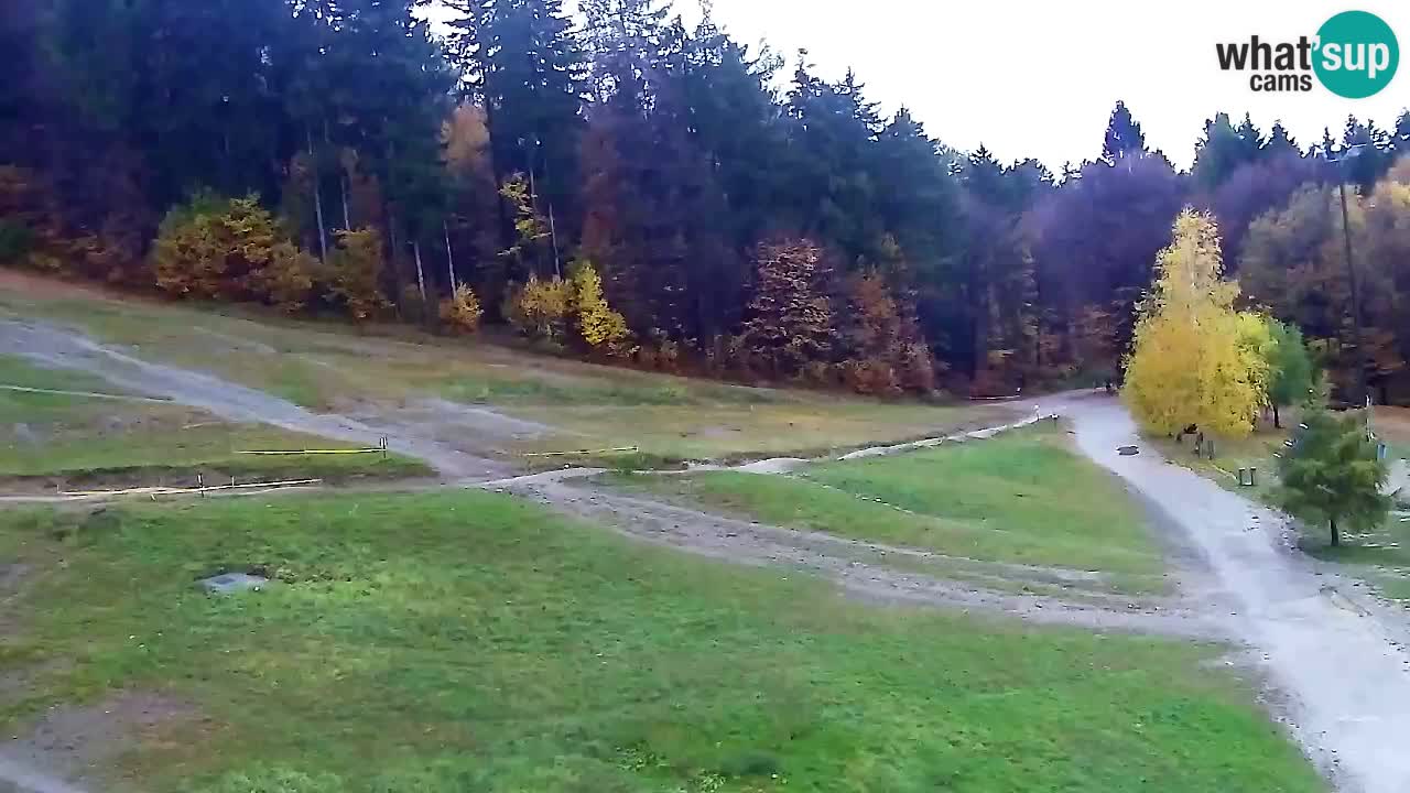 Spletna Kamera Pohorje Trikotna Jasa | Poštela