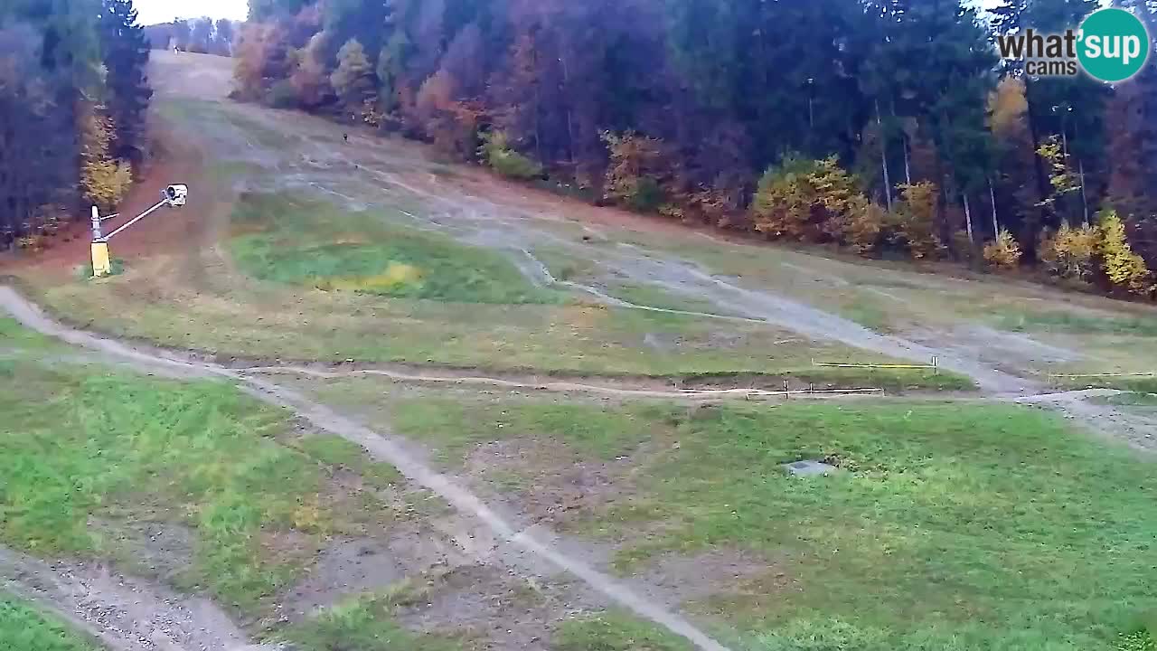 Spletna Kamera Pohorje Trikotna Jasa | Poštela