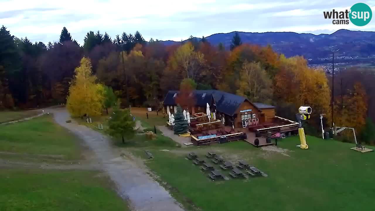 Webcam Pohorje Trikotna Jasa | Poštela