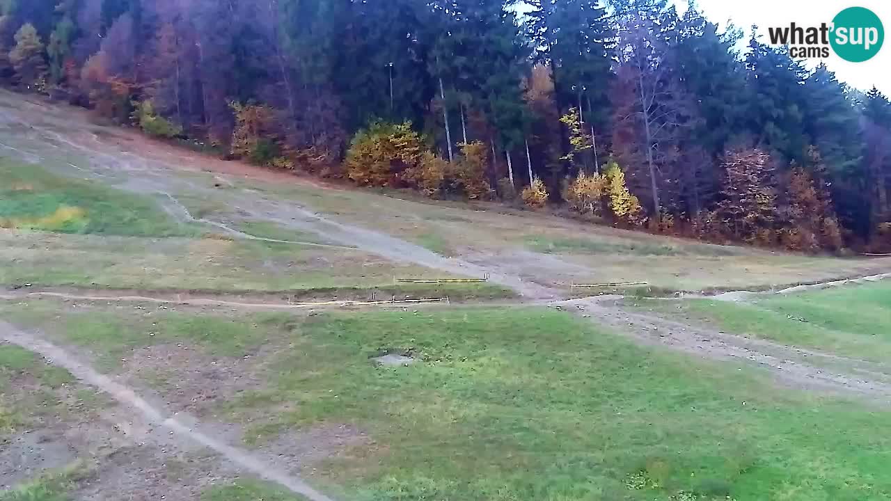 Web Camera Pohorje Trikotna Jasa | Poštela