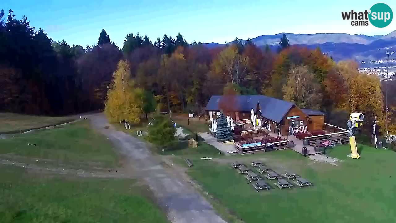 Spletna Kamera Pohorje Trikotna Jasa | Poštela