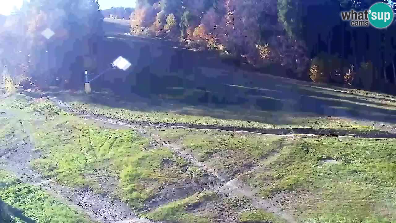 Spletna Kamera Pohorje Trikotna Jasa | Poštela