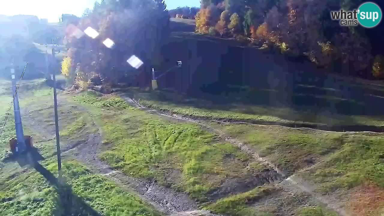 Web Camera Pohorje Trikotna Jasa | Poštela