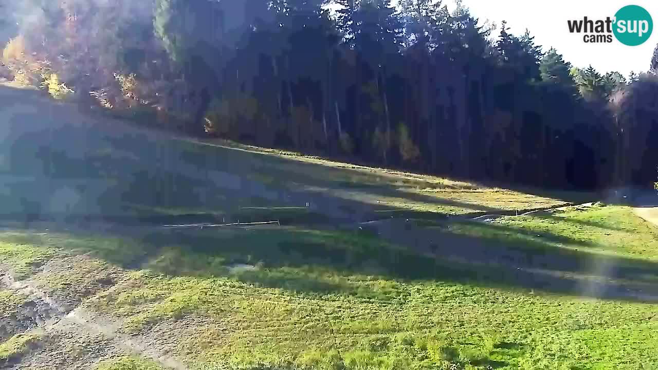 Webcam Pohorje Trikotna Jasa | Poštela