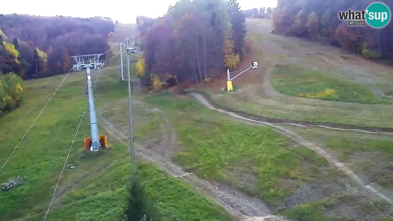 Webcam Pohorje Trikotna Jasa | Poštela