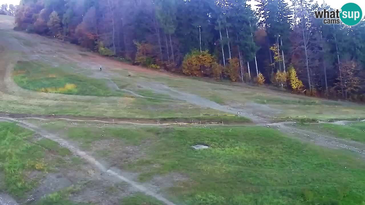 Webcam Pohorje Trikotna Jasa | Poštela