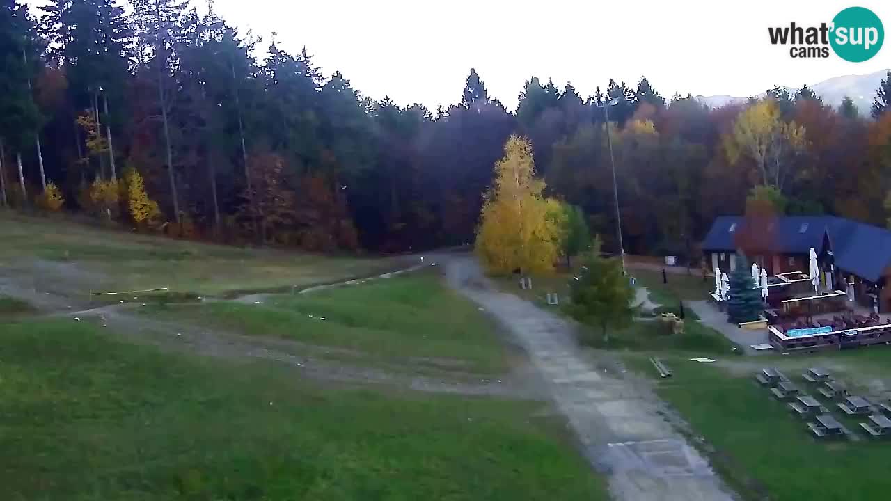 Webcam Pohorje Trikotna Jasa | Poštela