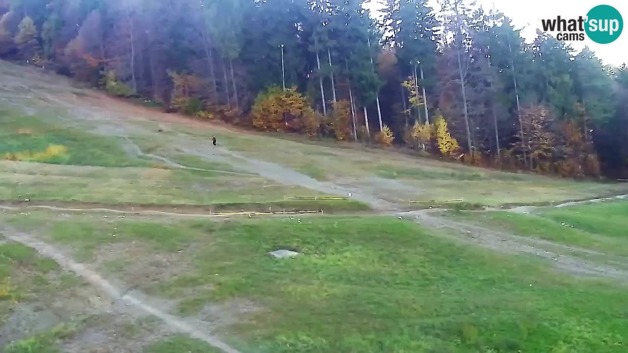 Webcam Pohorje Trikotna Jasa | Poštela