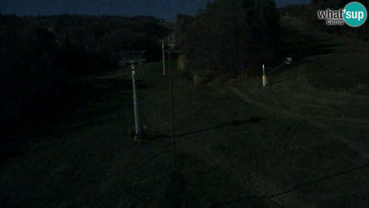 Webcam Pohorje Trikotna Jasa | Poštela