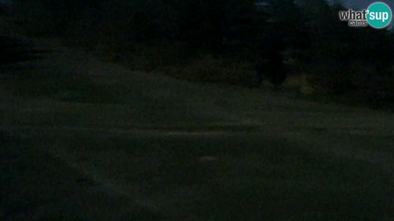 Webcam Pohorje Trikotna Jasa | Poštela