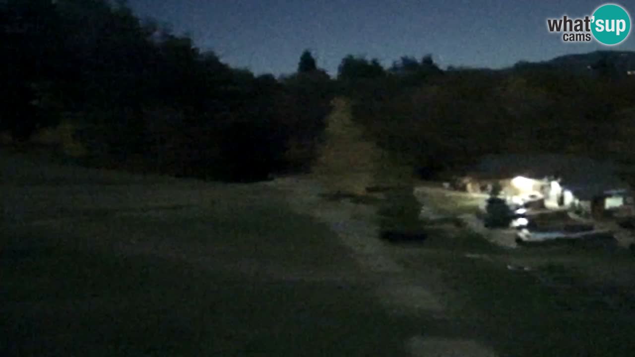 Spletna Kamera Pohorje Trikotna Jasa | Poštela