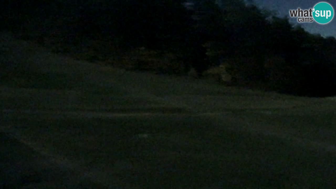 Web Camera Pohorje Trikotna Jasa | Poštela