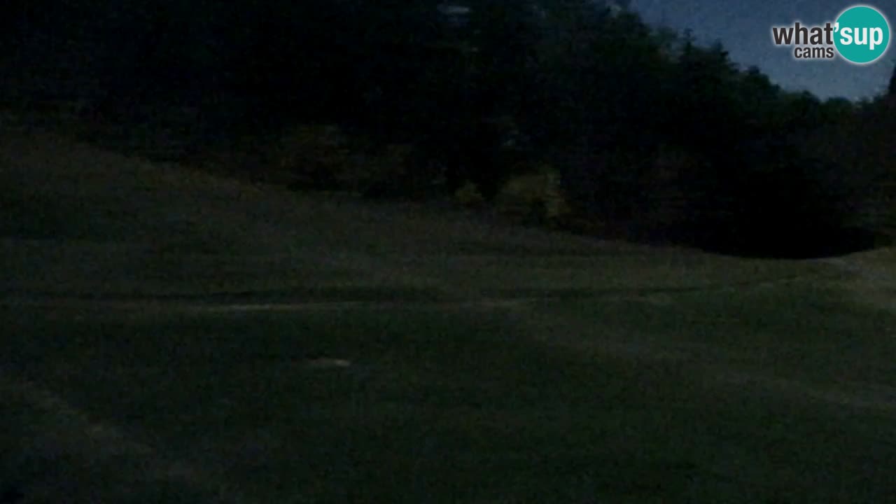 Spletna Kamera Pohorje Trikotna Jasa | Poštela