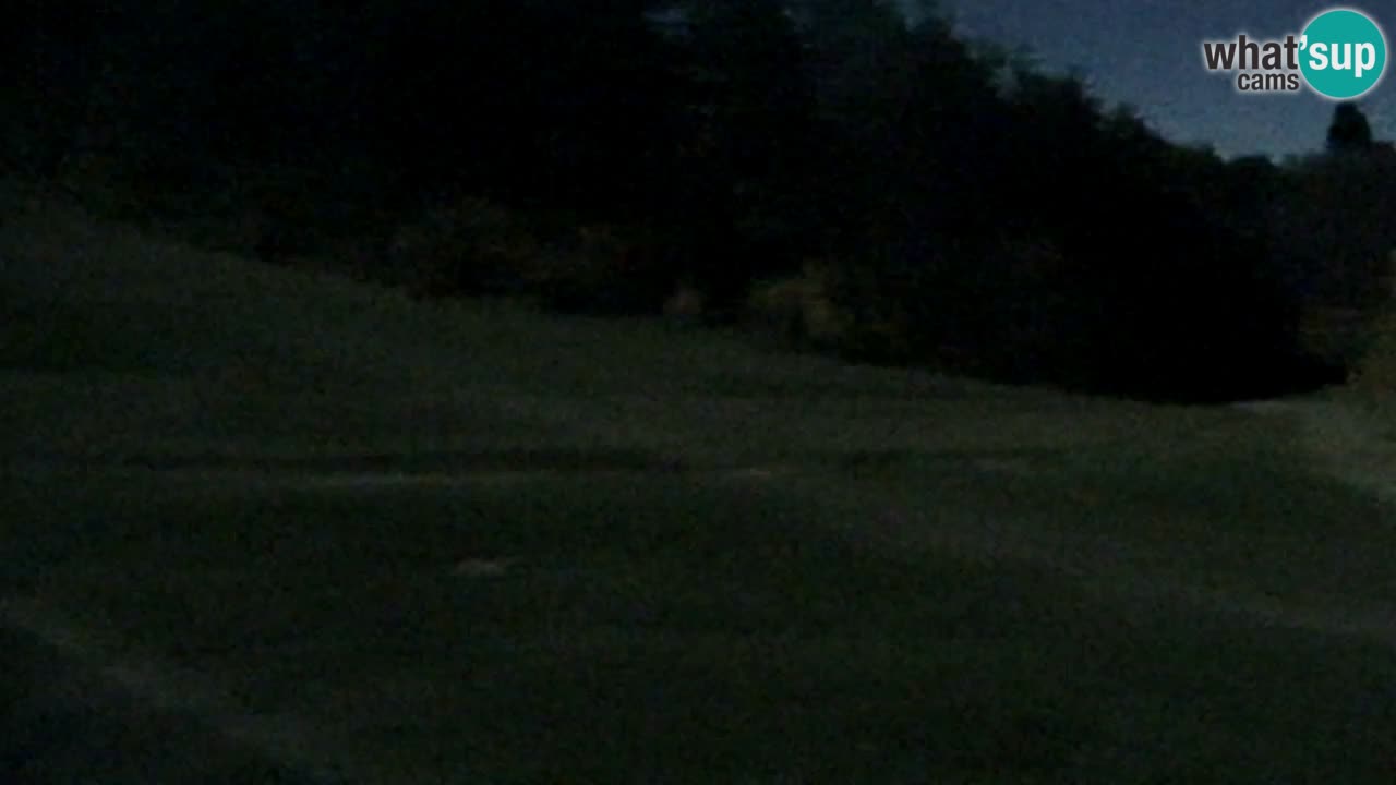 Webcam Pohorje Trikotna Jasa | Poštela