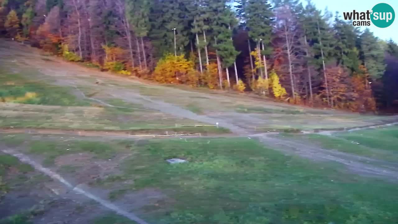 Webcam Pohorje Trikotna Jasa | Poštela