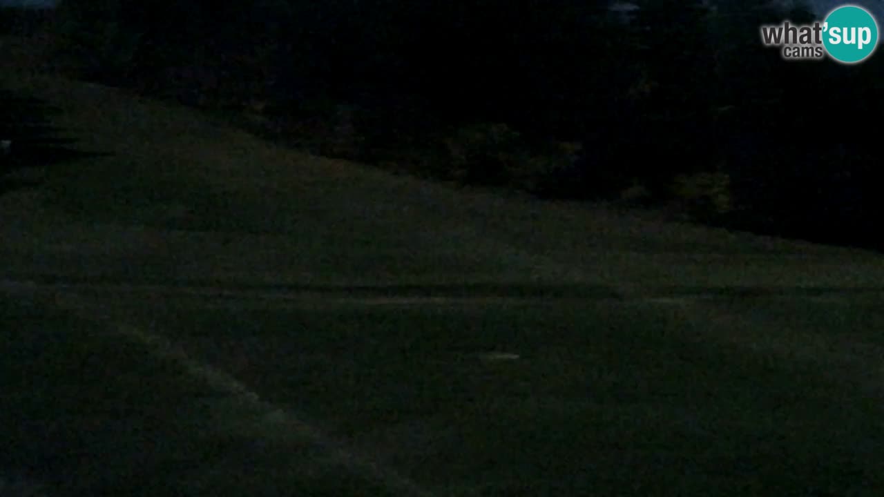 Webcam Pohorje Trikotna Jasa | Poštela