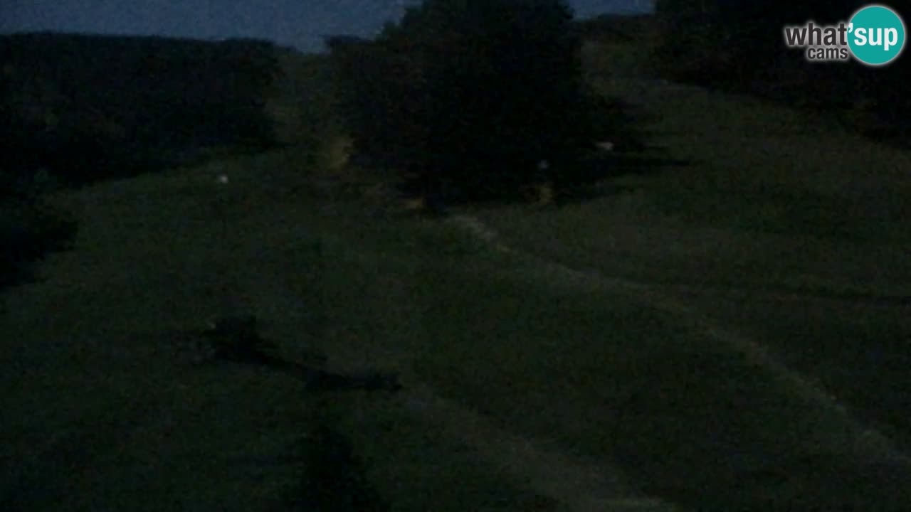 Web Camera Pohorje Trikotna Jasa | Poštela