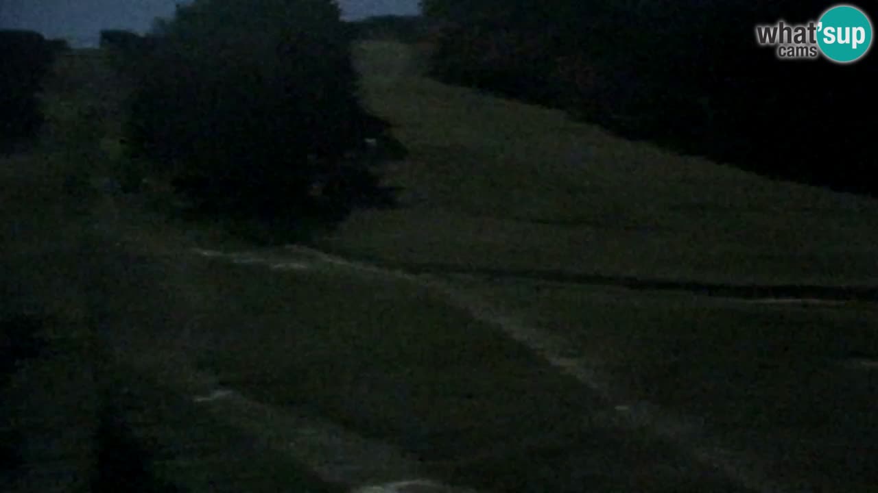 Webcam Pohorje Trikotna Jasa | Poštela