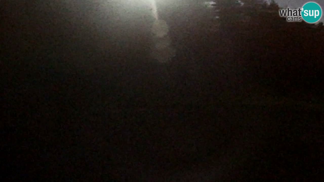 Webcam Pohorje Trikotna Jasa | Poštela