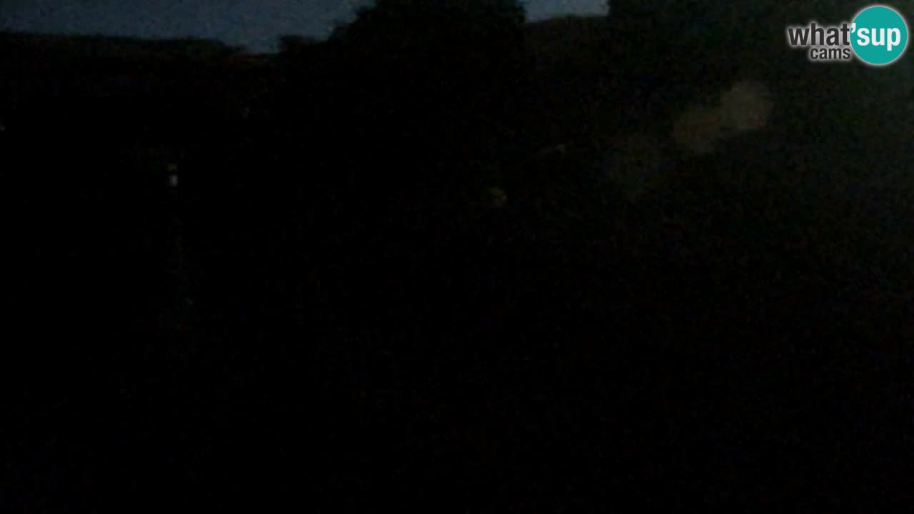 Webcam Pohorje Trikotna Jasa | Poštela