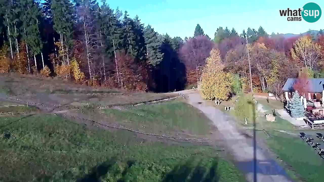 Web Camera Pohorje Trikotna Jasa | Poštela