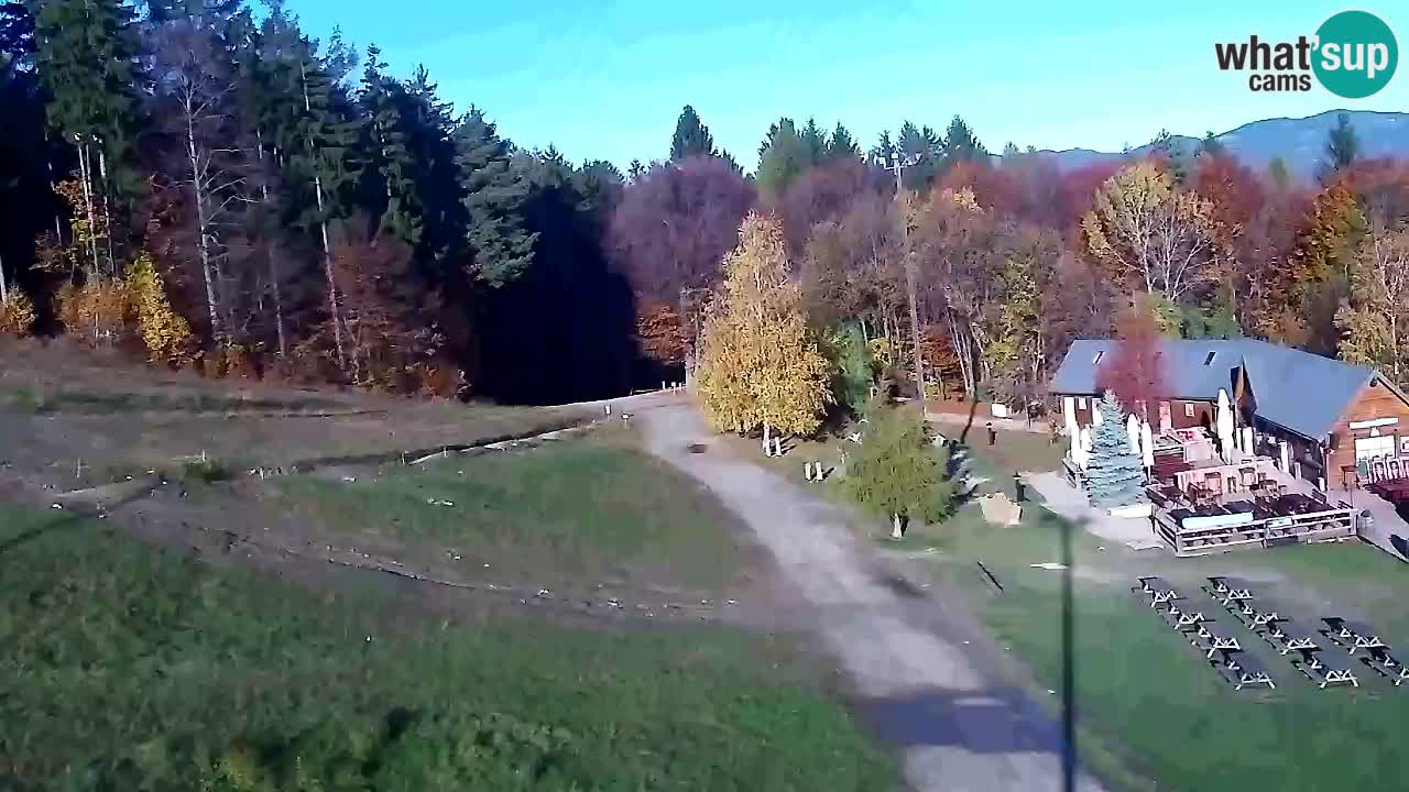 Webcam Pohorje Trikotna Jasa | Poštela
