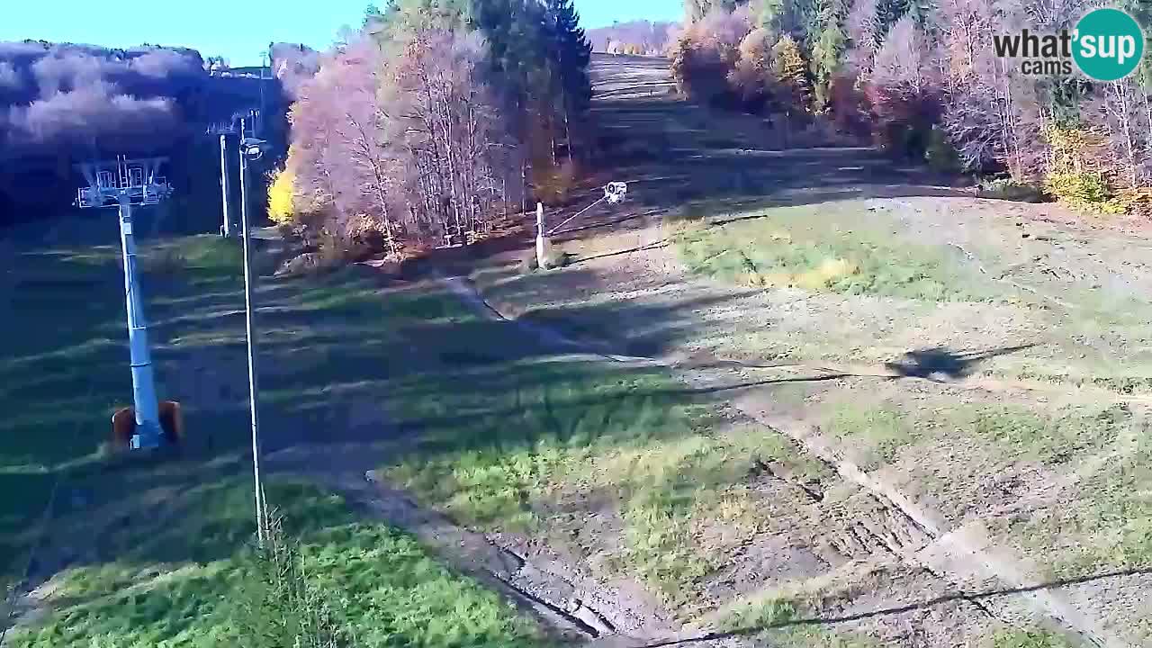 Webcam Pohorje Trikotna Jasa | Poštela