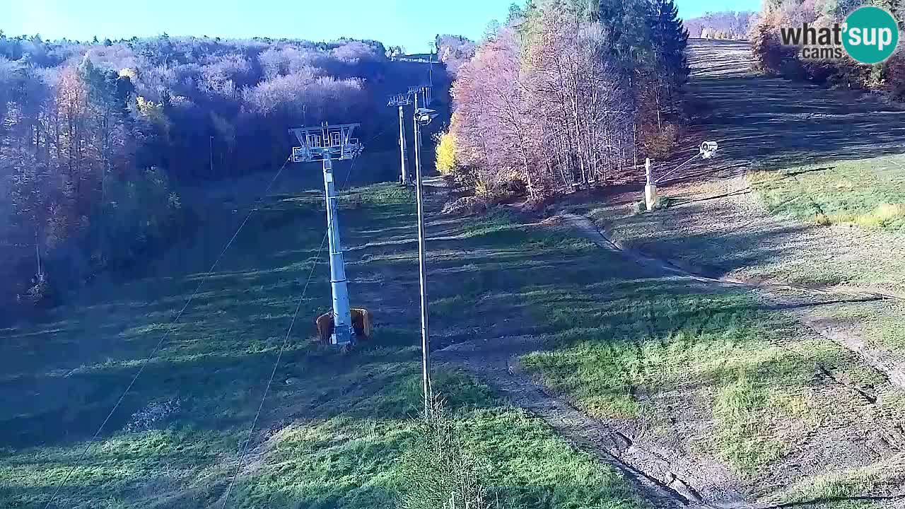 Webcam Pohorje Trikotna Jasa | Poštela